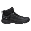 Buty TARGHEE III MID WP