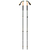 Kije trekkingowe TRAIL CORK TREKKING POLES