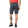 Spodnie ACTIVE TRACK SHORTS MEN