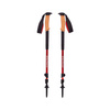 Kije trekkingowe TRAIL CORK TREKKING POLES