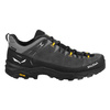 Buty ALP TRAINER 2 GORE-TEX